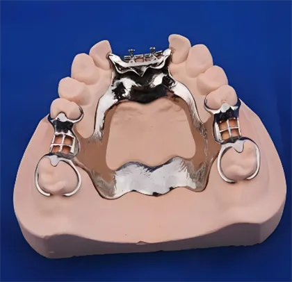 Porta dentadura completa